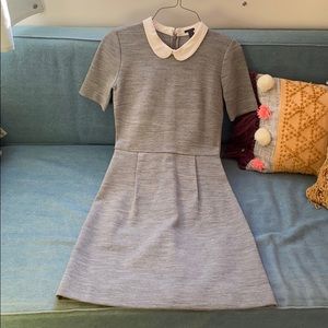 J Crew Peter Pan Collar Dress
